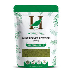 Mint Leaves Powder